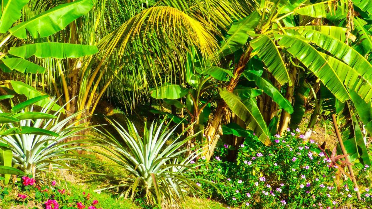 Mouggae Blues Villas Beau Vallon  Εξωτερικό φωτογραφία